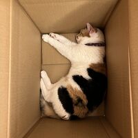 画像1392