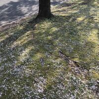 画像1412