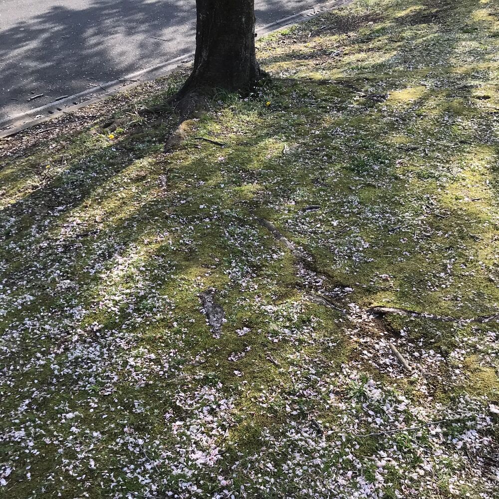 画像1412