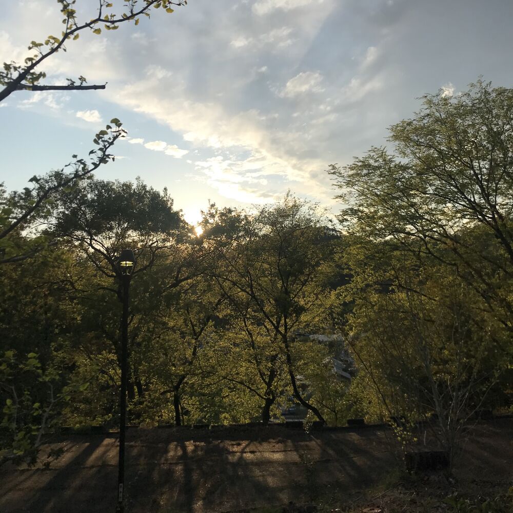 画像1418