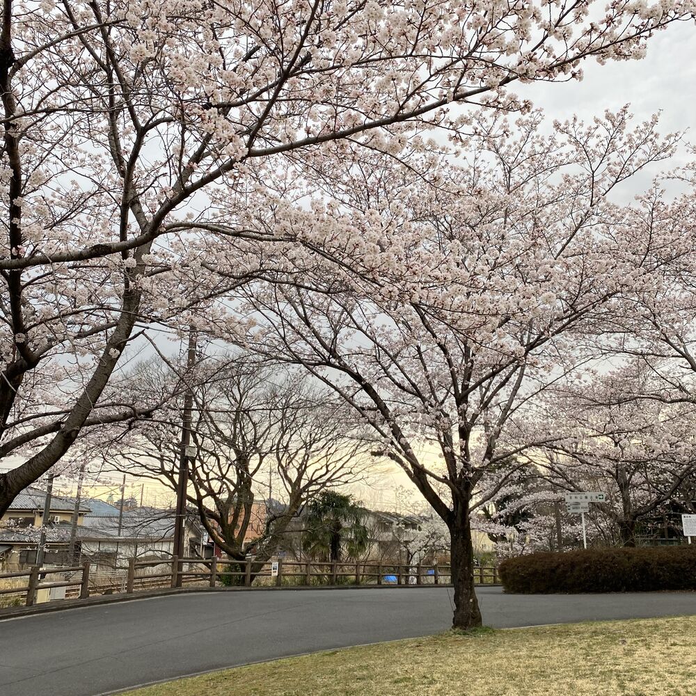 画像1424