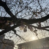 画像1428