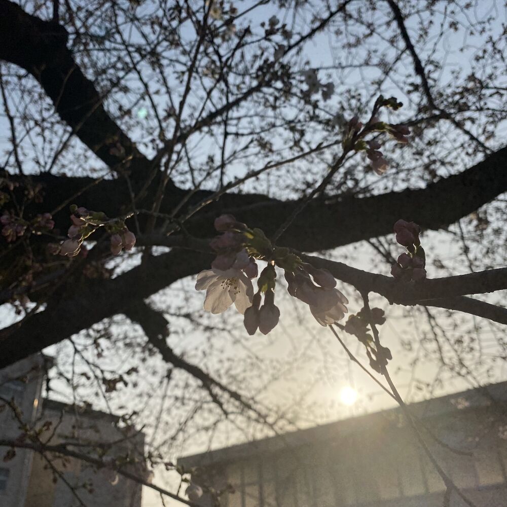 画像1428