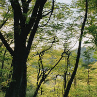 画像1430