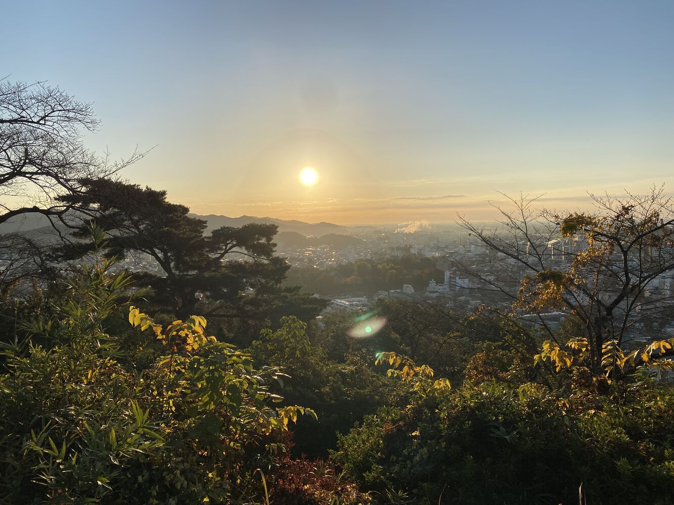 画像1457