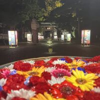画像1515