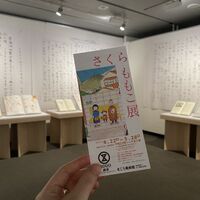 画像1550