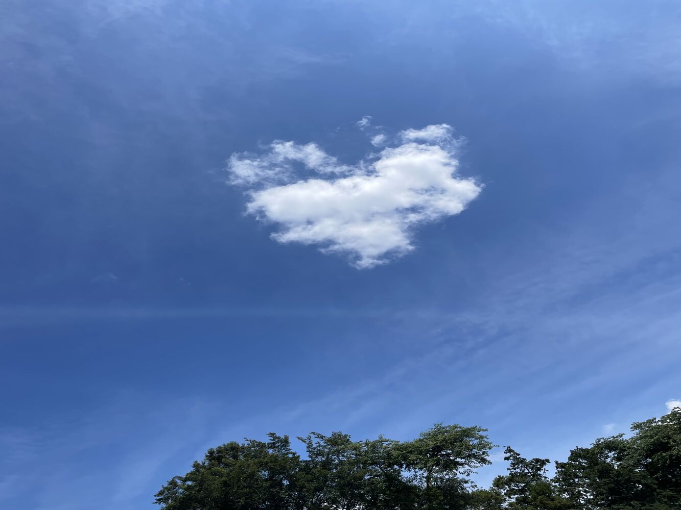 画像1717