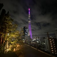 画像1973