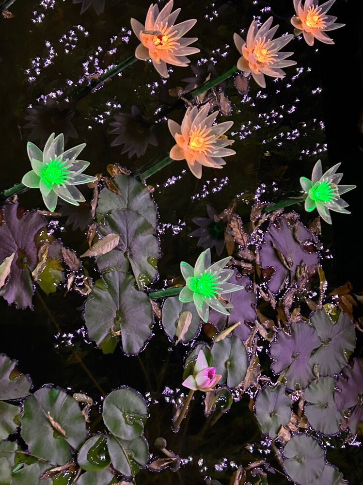 画像1977
