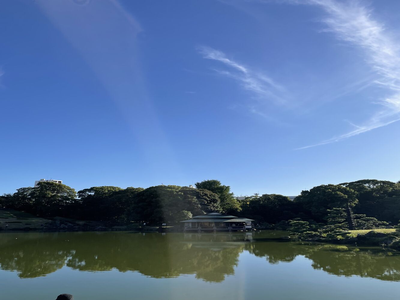 画像2011