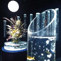画像2040