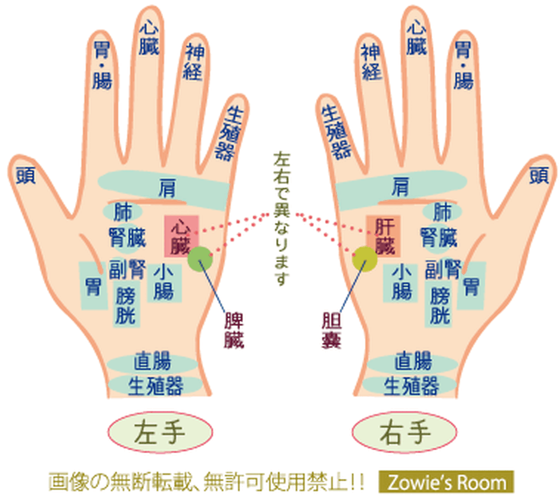画像2205