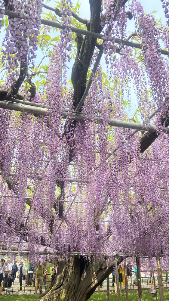 画像2317