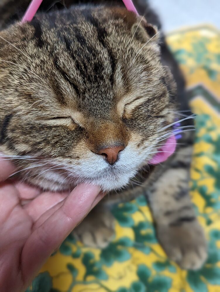 画像2376