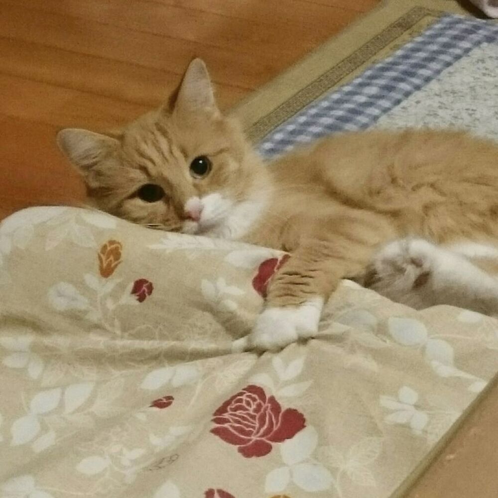 画像2626