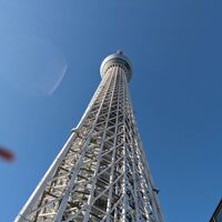 画像2941