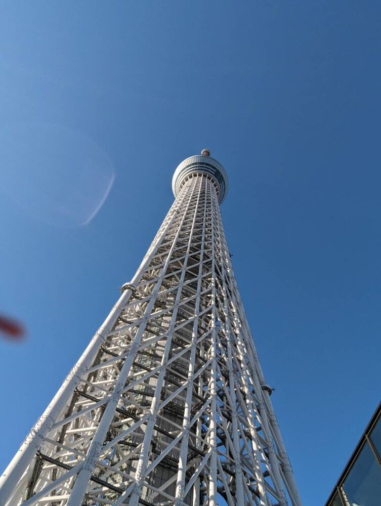 画像2941