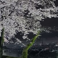 画像3076