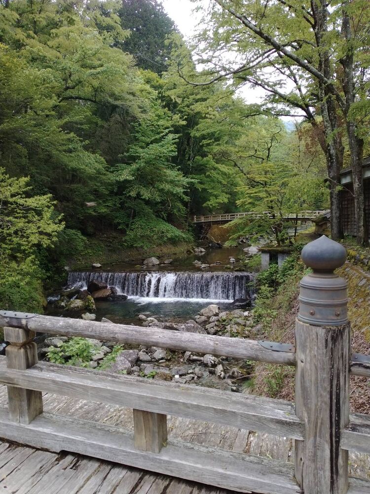 画像3245