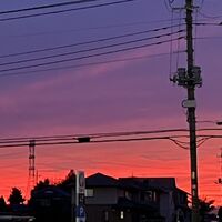 画像3496