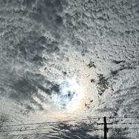画像3498