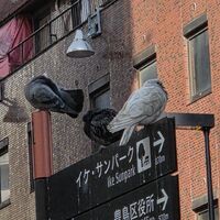 画像3686
