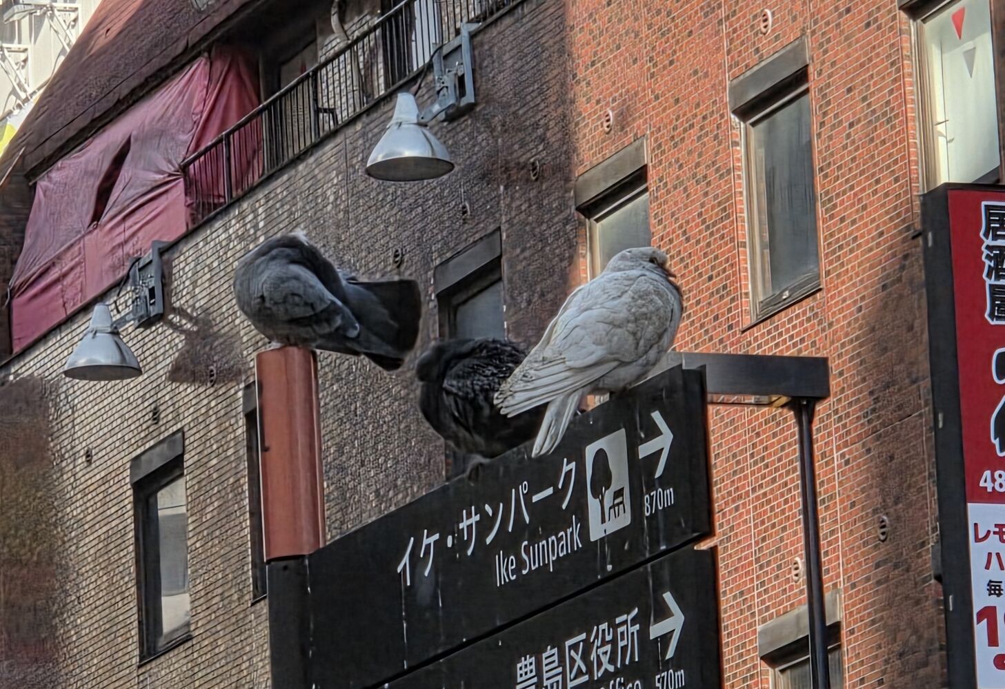 画像3686