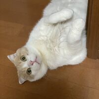 画像3784