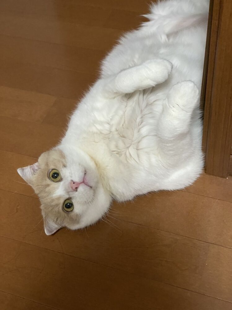 画像3784