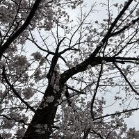 画像3818