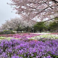 画像3831