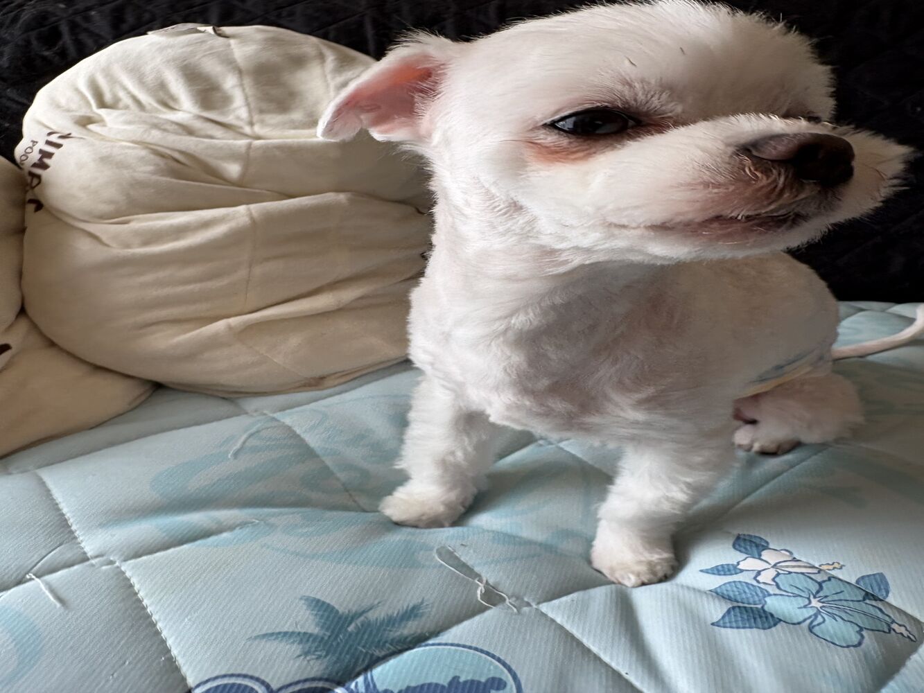 画像3965