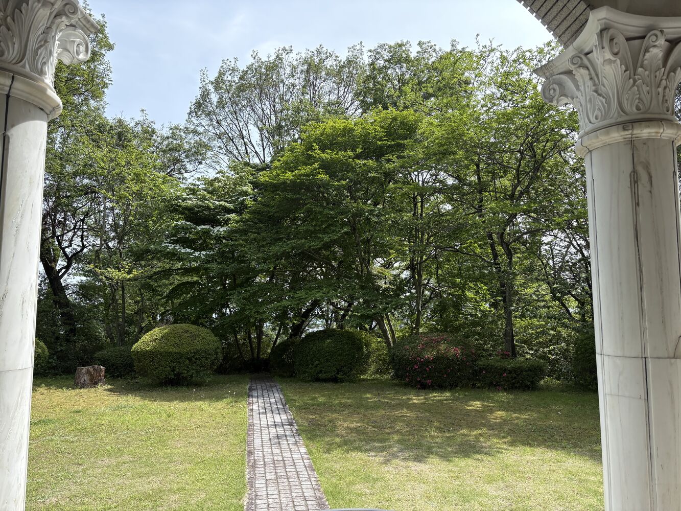 画像3970