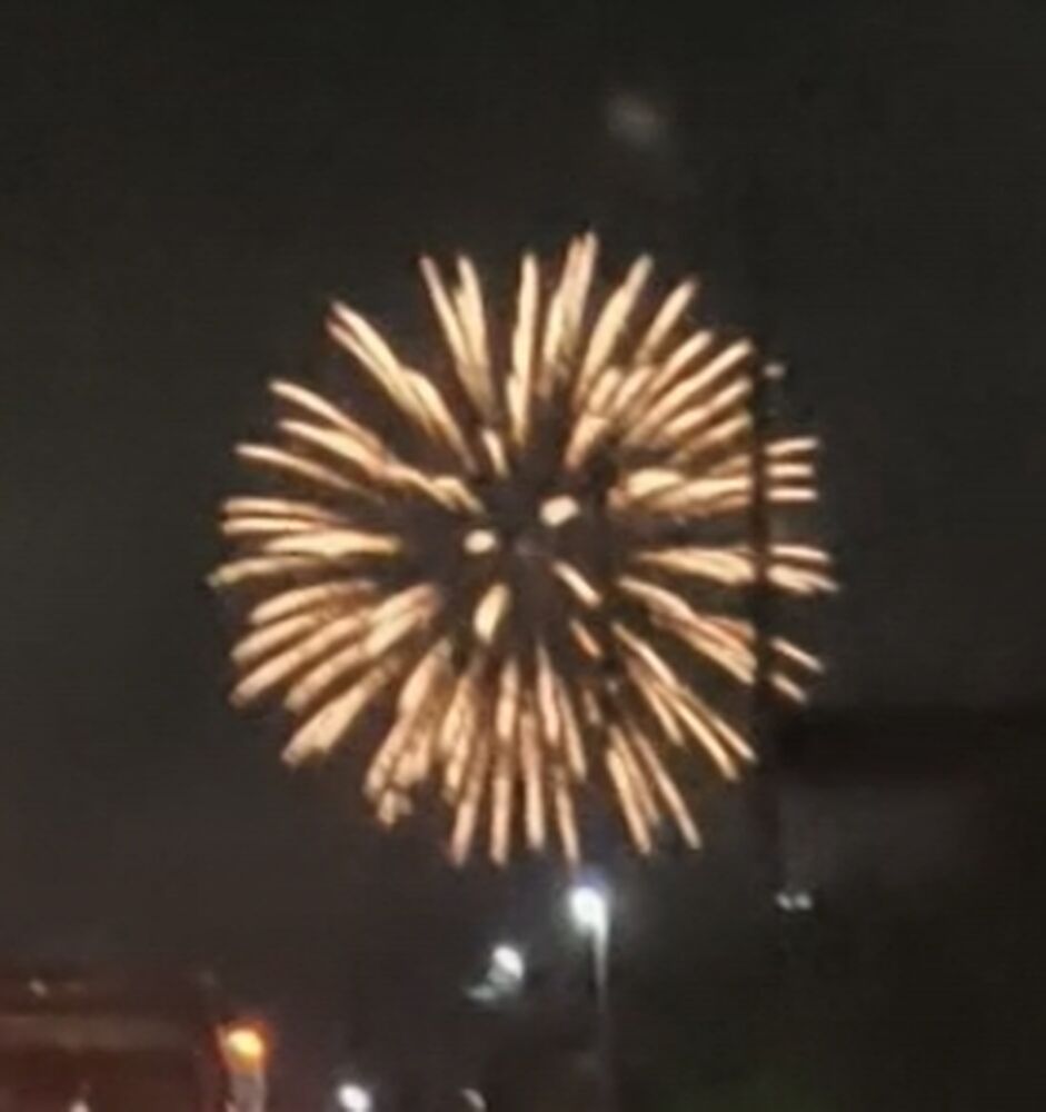 画像4086