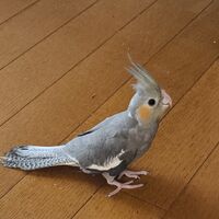 画像4187