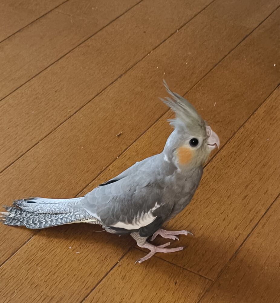 画像4187