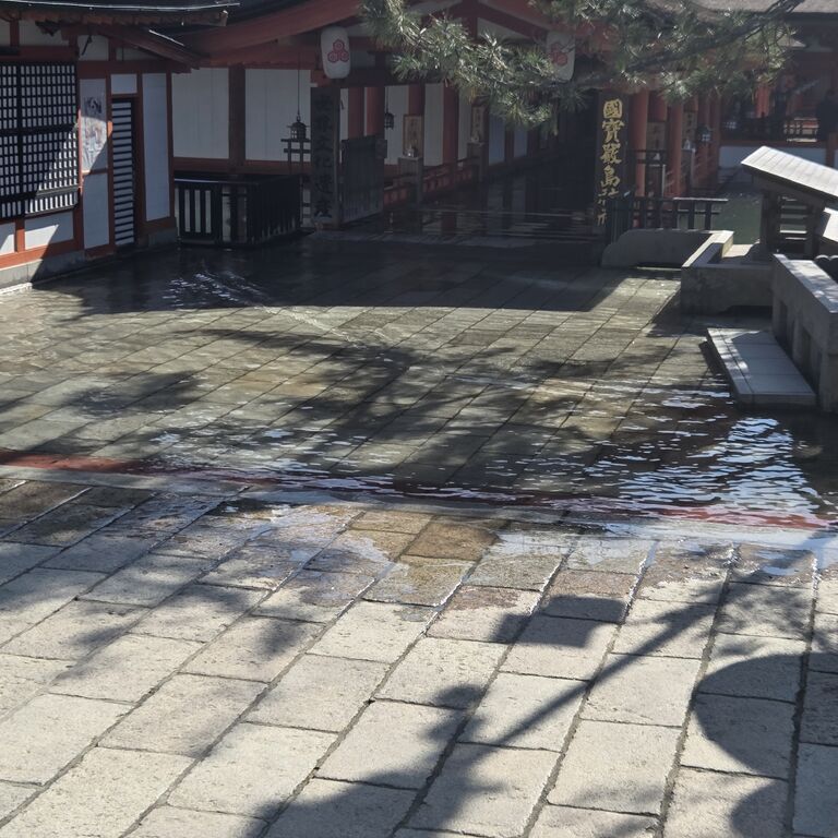 画像4230