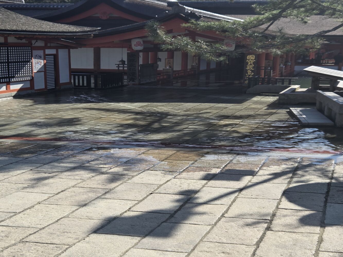 画像4230