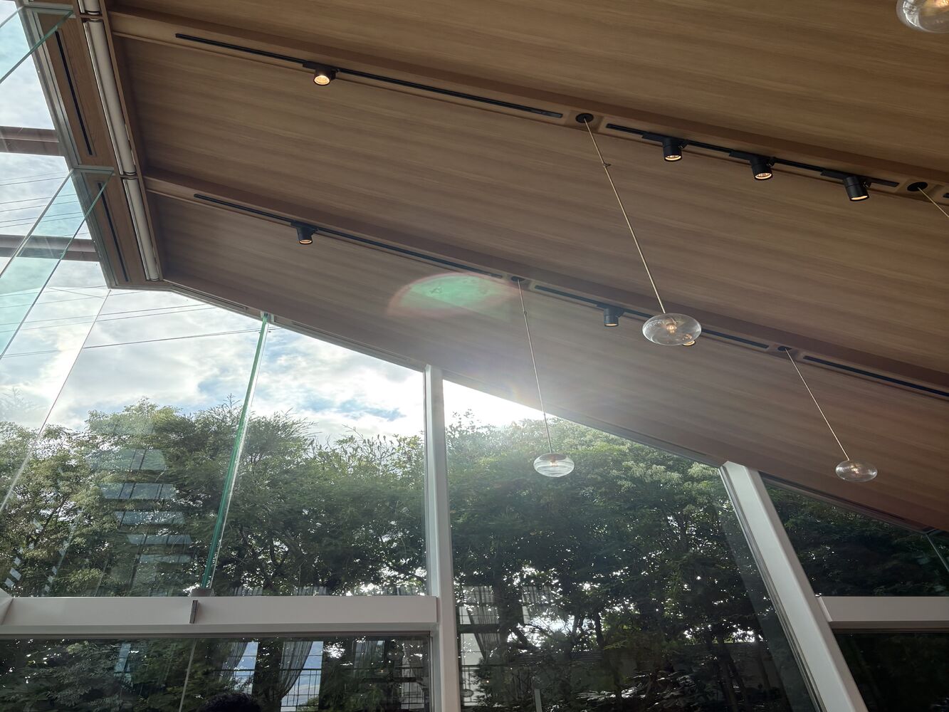 画像4260