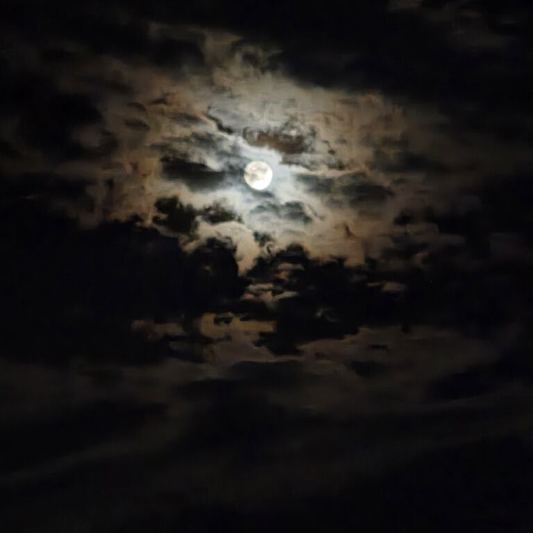画像4346