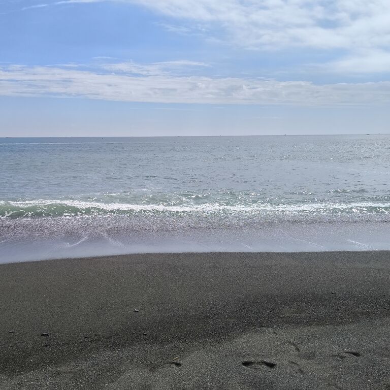 画像4357